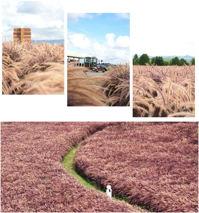 七夕弥勒太平湖对这些人免门票！还有