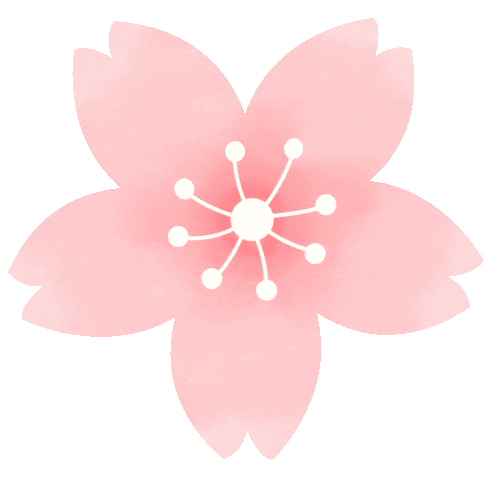 奔赴花海之约！银川原来你这么好看！